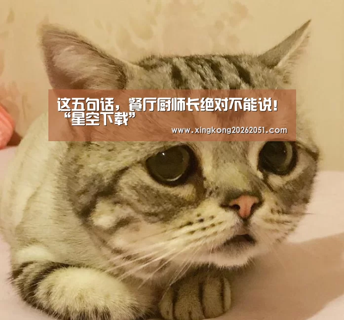 这五句话,餐厅厨师长绝对不能说!“星空下载”(图1) 星空体育