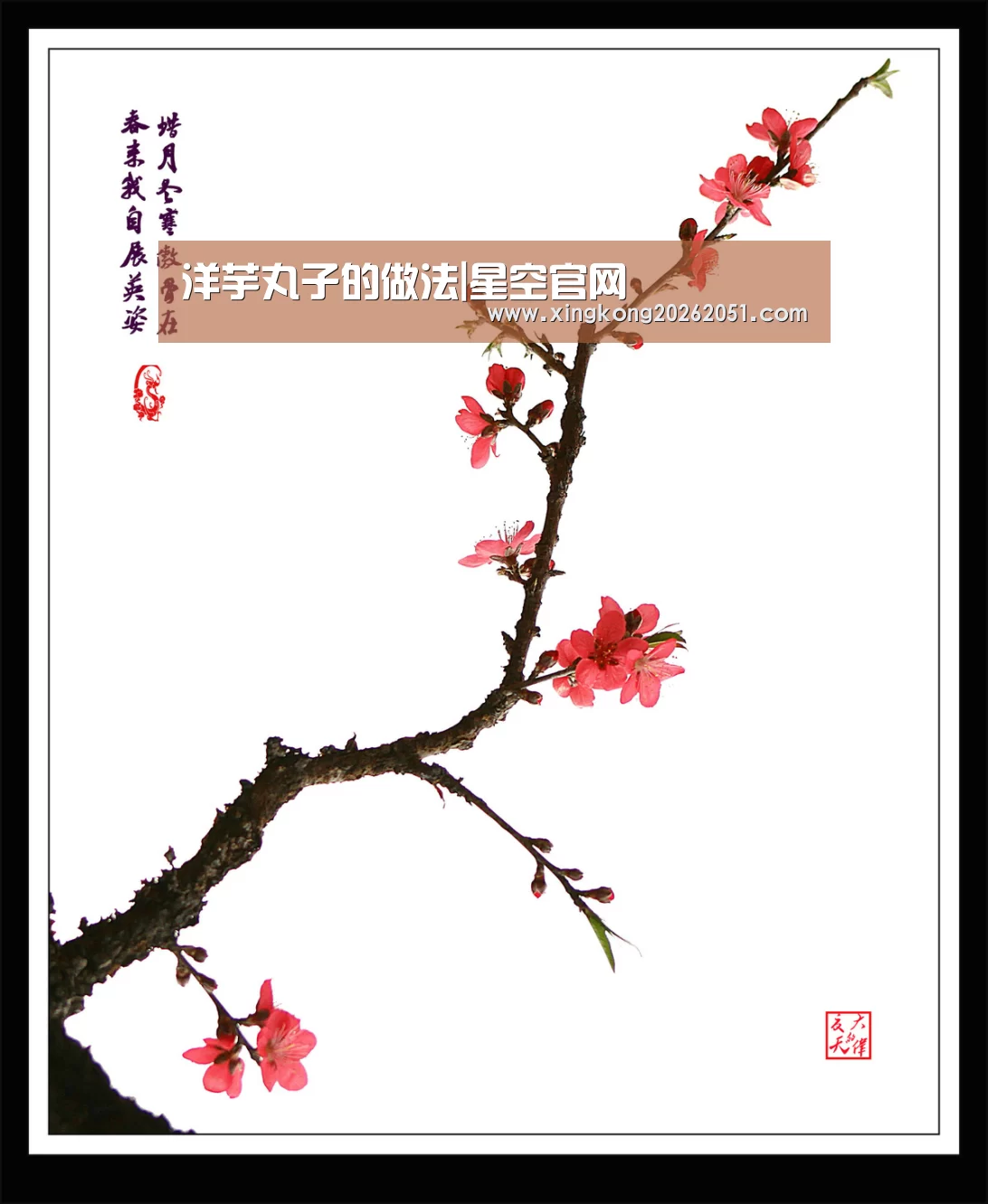星空下载