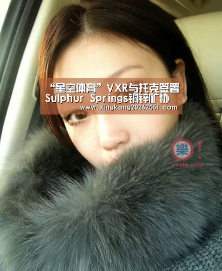 “星空体育”VXR与托克签署Sulphur Springs铜锌矿协议(图1) 星空体育
