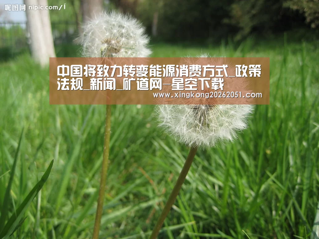 中国将致力转变能源消费方式_政策法规_新闻_矿道网-星空下载(图1) 星空官网