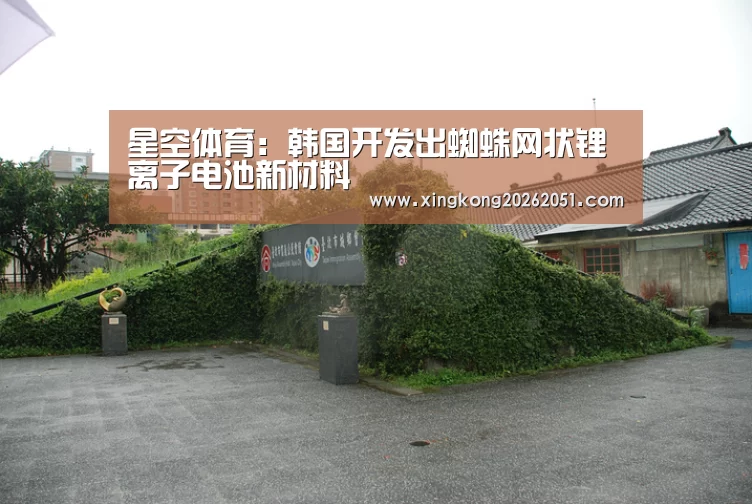 星空体育:韩国开发出蜘蛛网状锂离子电池新材料(图2) 星空下载
